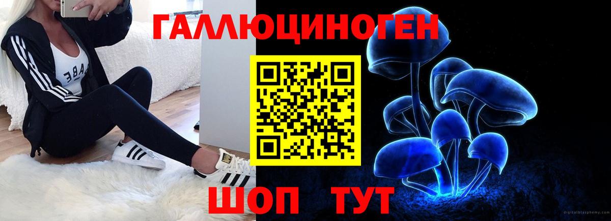 Тверь  Псилоцибиновые грибы мицелий  Галлюциногенные грибы Magic Shrooms  Вход с VPN 